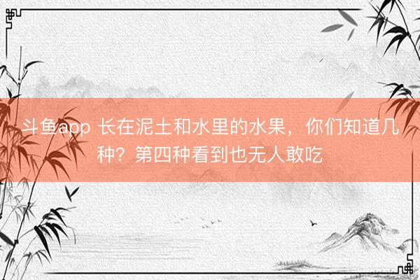 斗鱼app 长在泥土和水里的水果,你们知道几种?第四种看到也无人敢吃