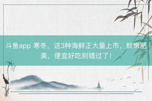 斗鱼app 寒冬，这3种海鲜正大量上市，鲜嫩肥美，便宜好吃别错过了！