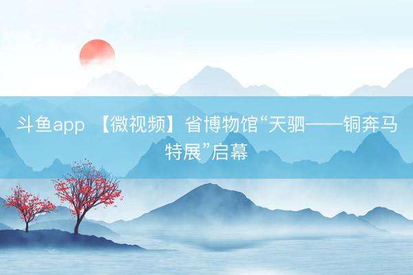 斗鱼app 【微视频】省博物馆“天驷——铜奔马特展”启幕