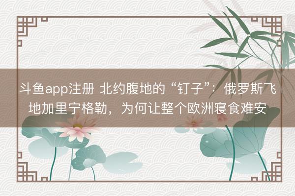 斗鱼app注册 北约腹地的 “钉子”：俄罗斯飞地加里宁格勒，为何让整个欧洲寝食难安