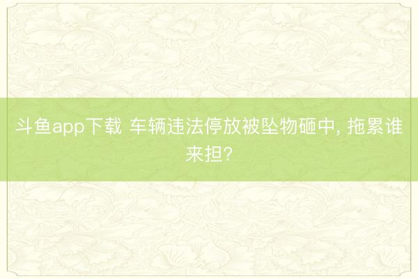 斗鱼app下载 车辆违法停放被坠物砸中, 拖累谁来担?