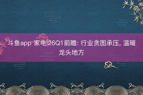 斗鱼app 家电|26Q1前瞻: 行业贪图承压, 温暖龙头地方