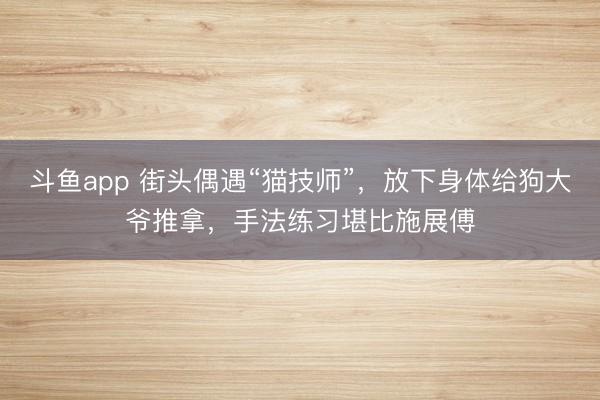 斗鱼app 街头偶遇“猫技师”,放下身体给狗大爷推拿,手法练习堪比施展傅