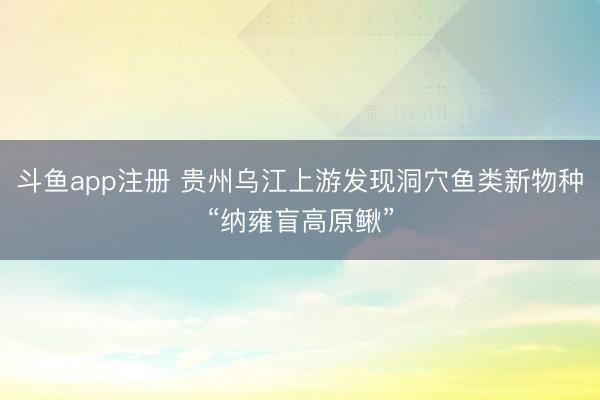 斗鱼app注册 贵州乌江上游发现洞穴鱼类新物种“纳雍盲高原鳅”