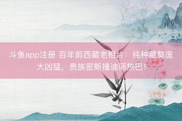 斗鱼app注册 百年前西藏老相片：纯种藏獒庞大凶猛，贵族密斯撞迪丽热巴！