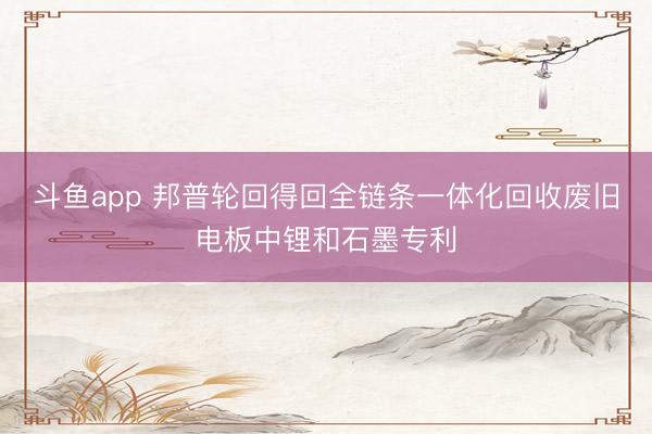 斗鱼app 邦普轮回得回全链条一体化回收废旧电板中锂和石墨专利